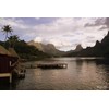 Monoi de Tahiti Mositurizer with DMAE: From the South Pacific