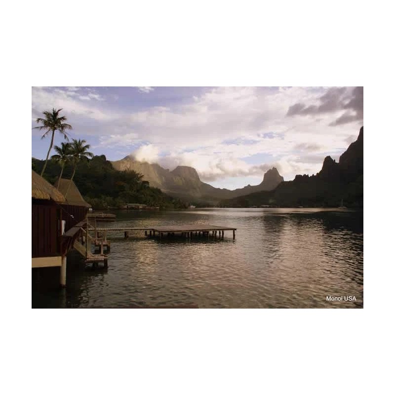 Monoi de Tahiti Mositurizer with DMAE: From the South Pacific