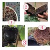 Markeny Reusable Plant Rooting Ball, Plant Propagation Root Ball Effective
