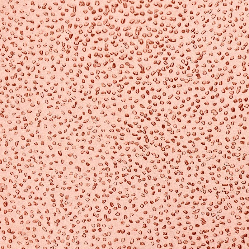 ToolPro Professional Grade Carbide Bit Stucco & EIFS Rasp –