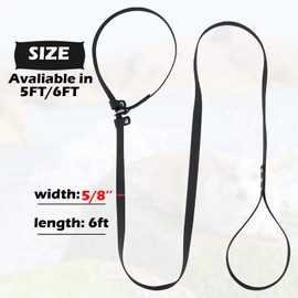 FURSDOLY Dog Slip Lead Pet Leash 5FT /6 FT x 5/8'' Dogs Training Leashes Comfortable Soft Waterproof Pet Slip Leads, No Pull Pet Leash for Small Medium Large Breeds (Black, 5/8'' x 6FT)