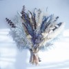 WXQX Pampas Grass Decor Bouquet - Natural Dried Flower Arrangement