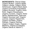 Livingston Natural Herbal Labs Lung & Breathing Cleanse, By Livingston