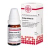 Ginkgo Biloba D3 DHU Globules, 10 g Globules