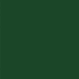 Dupli-Color EBFM03277 Perfect Match Automotive Spray Paint – Ford Deep Jewel Green Metallic, PA/TM – 8 oz. Aerosol Can