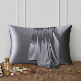 DISANGNI 100% Natural Mulberry Silk Pillow case for Hair and Skin with Hidden Zipper 22 Momme Both Sides Real Silk Pillow Case (2pc Standard Size 20" x26", Dark Gray)