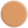 Kryolan Dermacolor Camouflage Cream Refill, 4 gm, All Shades {Cover