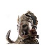 Top Collection Dancing Ganesh on Lotus Pedestal Statue- Lord of