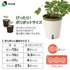Richell 700955 Mielno Plus Pot 17 Type N White Soil
