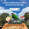 Bird Feeder with Camera 2K HD Video AI Identify Species