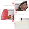 MUCKLILY Lung Comparison Model Medical Teaching Tool vs Normal Lungs