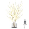 Lighted Birch Branches Plug in with Timer 33IN 180 LED