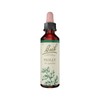 Bach Flower Remedies Holly 20ml