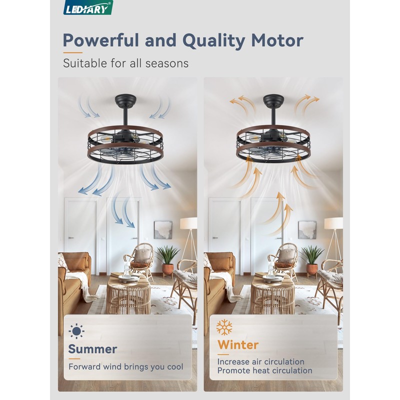 LEDIARY 20 inch Fandelier Caged Ceiling Fan with Light, Bladeless