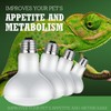 8 Pcs Reptile Heat Lamp Basking Spotlight Bulbs, Basking Heat