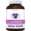 Elderberry 4:1 Extract Capsules (Non-GMO) Equivalent to 2,000mg Fresh Sambucus