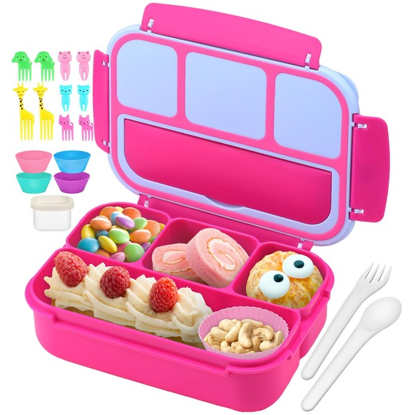 QQKO Bento Box for Kids Adults, School Toddler Lunch Box