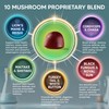 aSquared Nutrition aSquared Nutrition Mushroom Gummies - 10x Complex Supplement