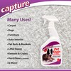 Capture Pet Stain & Odor Remover - Enzyme Pet Odor