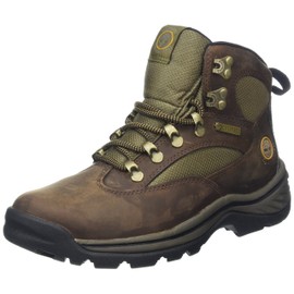 Timberland Women's Chocorua Trail Boot,Brown,9.5 M