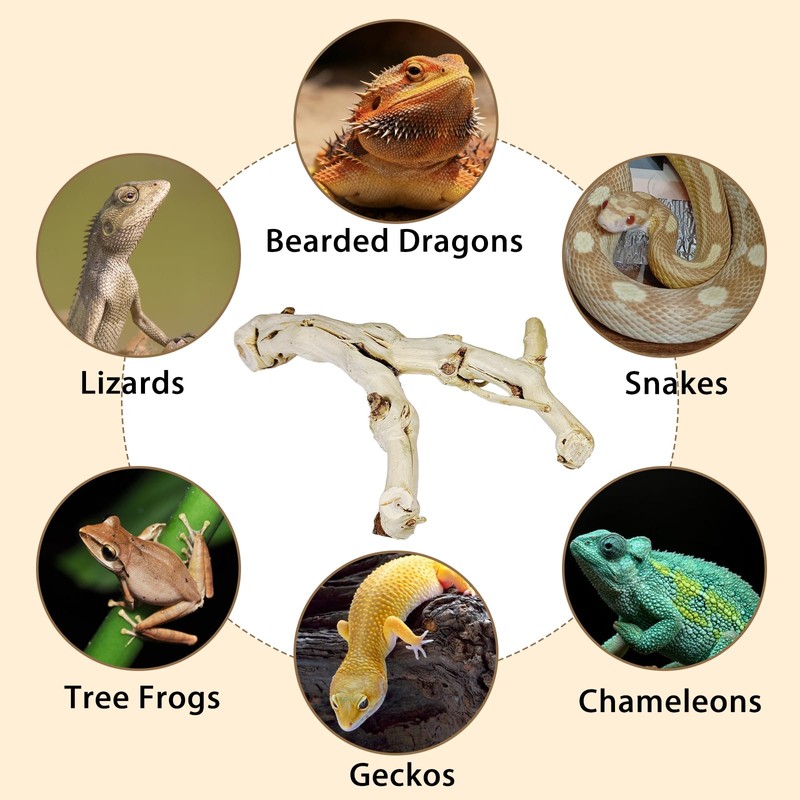 BNOSDM Reptile Branches, 9.5-11.4inch Snake Climbing Branch, Terrarium Wood Branch