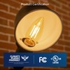 FLSNT 40W Equivalent LED Chandelier Light Bulbs, Dimmable Amber LED