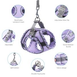 Brifit Cat Harness with Lead, Escape Proof, Cat Lead with Soft Harness for Cats, Adjustable Soft Kitten Vest with Reflective Strips, Cat Harness for Cats, Kittens, Puppies