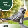 TOPANBIETER 999 Bird Bath Water Bath for Wild Birds Hanging