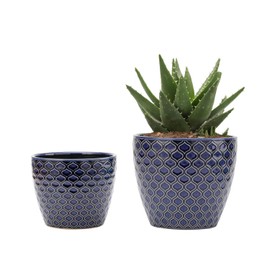 UooMay Ceramic Flower Pots Plants Containers - 6.5 and 5.5 Inch Planter Pot with Drainage Hole for Succulents,Flower and Plants, Indoor or Outdoor,Set of 2 (Blue)