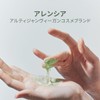 Arencia Premium Mochi Soap "Green" 50g / Korea / Facial