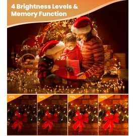 Cluster Christmas Lights Outdoor, 9m 600LEDs Christmas Tree Lights Mains Powered, Fairy Lights with 8 Modes&Timer&4 Brightness Levels&Waterproof with Remote for Garland/Party/Xmas Decorations