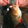 Monkey Lures Turbo Lui Jig Spinner, Weight: 10 g, Monkey