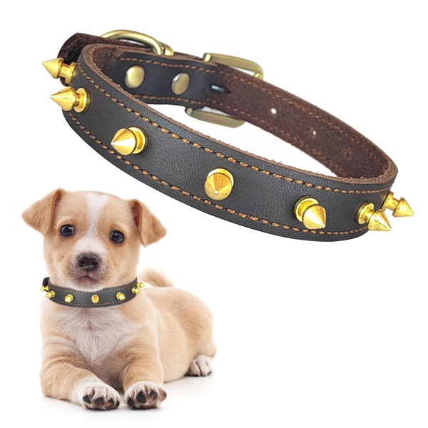 Qianruida Studded Leather Collar for Dogs, Adjustable Anti-Biting Individuality Collar,