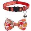 Thanksgiving Cat Collar Fall Autumn Breakaway with Bow Tie and