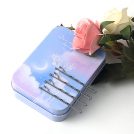 Hair Bobby Pins with Cute Case, 200 CT Bobby Pins for Buns, Premium Hair Pins for Kids, Girls and Women, Great for All Hair Types (Silver)