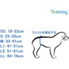 Teamoy Dog Manners Belt, Set of 3, Gray Mesh Lining,