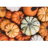 Food to Live Pepitas/Semillas de calabaza (Crudas, sin cascara) (4