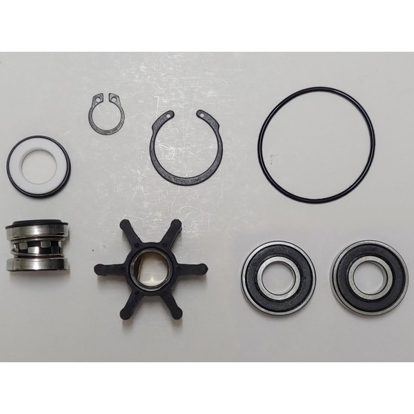 SCP-G8001 Repair Kit for Sherwood Pumps G8001, GP8001 Kohler 28487,