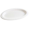 Art Nap "Commercial Use" Eco Paper Plate, 20 Piece Set