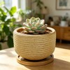 Rustic 4 inch Bonsai Plant Pot with Bamboo Tray Set