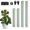 HOLANHING 60"/40"/24" Metal Moss Pole, D Shape Sphagnum Moss Pole,