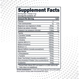 Type Zero Type Zero AminoBurn (Watermelon Flavored) - Vegan Amino Acids Energy Pre Workout Drink for Women/Men Sugar-Free Energy Drink Powder & Amino Acids Supplement - Natural Preworkout Energy