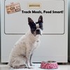 Dog Feeding Tracker-AM PM 2-Meal Wooden Fridge Magnets - Dog
