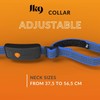 Weenect Dog XT - New GPS Collar for Dogs |