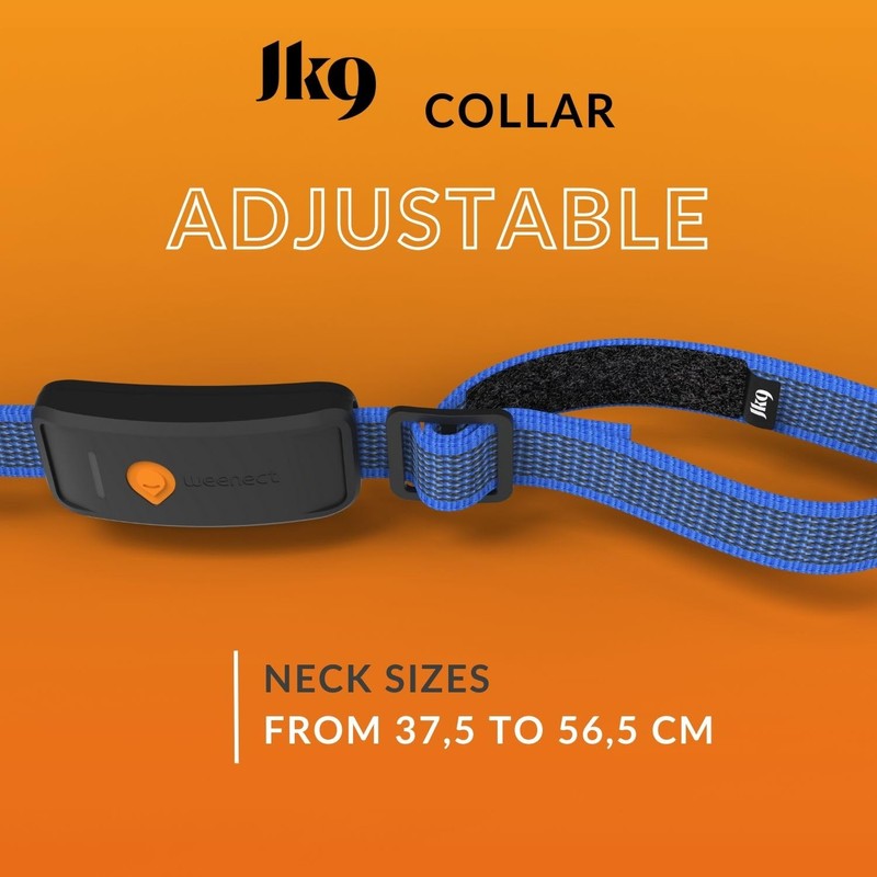 Weenect Dog XT - New GPS Collar for Dogs |