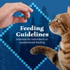 Blue Buffalo Wilderness Grain Free Soft-Moist Chicken & Salmon Cat
