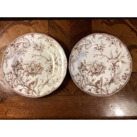 222 Fifth ADELAIDE BROWN Porcelain Salad Plates Brand (Set of 2) 8.5”