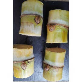 Unbranded 4 sticks SUGAR CANE GREEN JUICING CHEWING ORGANIC PLANT