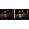 Diode Dynamics 7440/7443 HP11 Backup LED Bulbs
