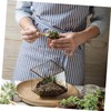 Toddmomy 8-Piece Pollinator Set for Plants Hand Pollinator for Fruit